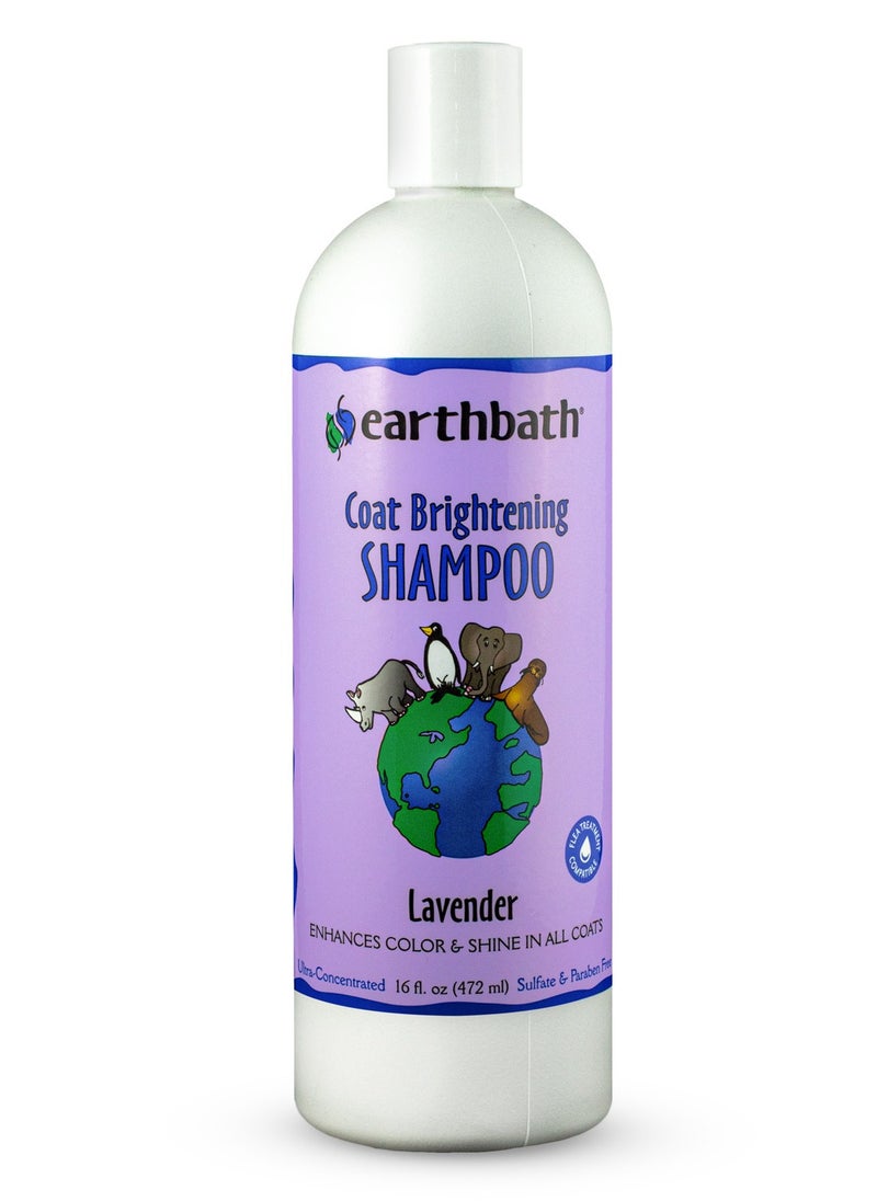 Earthbath Coat Brightening Shampoo, Lavender, Enhances Color & Shine in All Coats, Made in USA, 16 oz