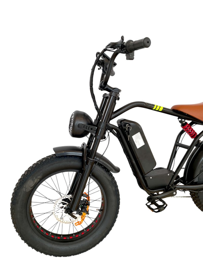 Electric adult bicycle for best ride with Good motor power and 48V15A lithium battery speed of 50-60Km/h