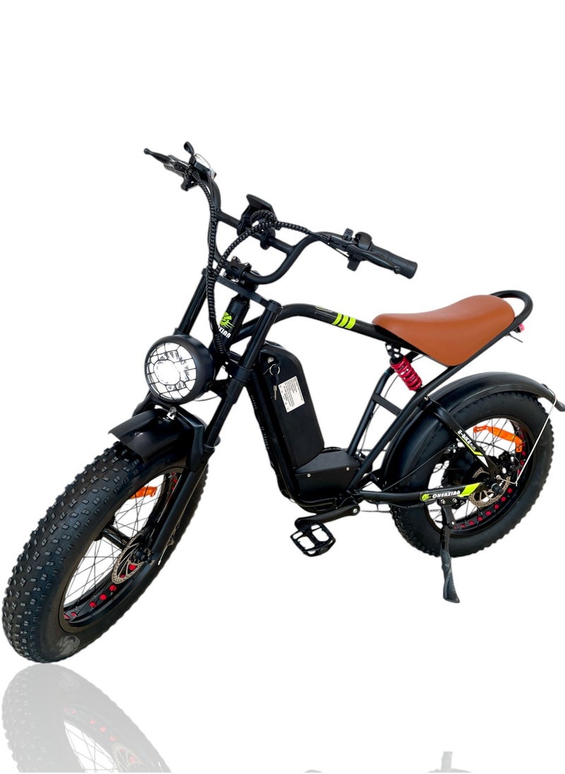 Electric adult bicycle for best ride with Good motor power and 48V15A lithium battery speed of 50-60Km/h