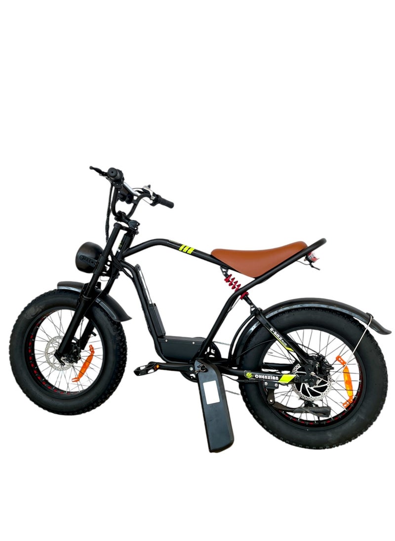 Electric adult bicycle for best ride with Good motor power and 48V15A lithium battery speed of 50-60Km/h