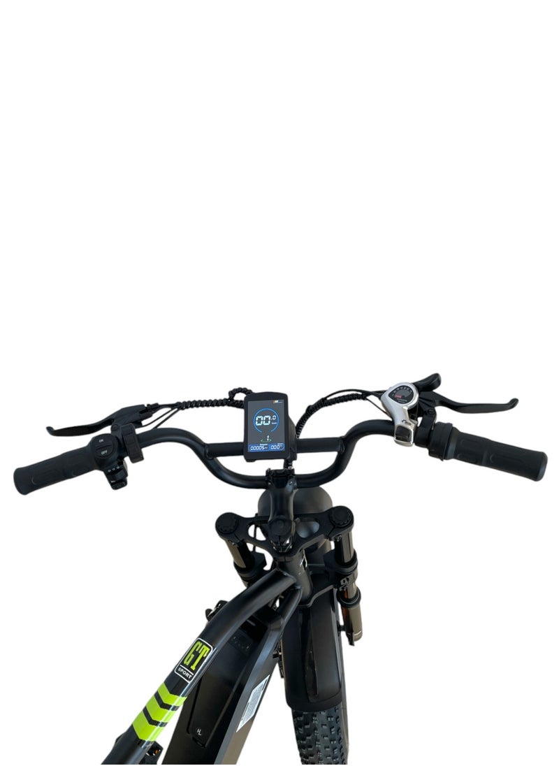 Electric adult bicycle for best ride with Good motor power and 48V15A lithium battery speed of 50-60Km/h