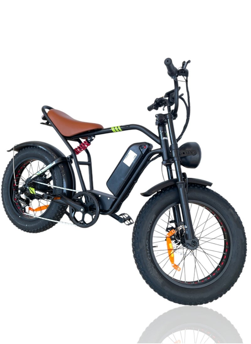 Electric adult bicycle for best ride with Good motor power and 48V15A lithium battery speed of 50-60Km/h