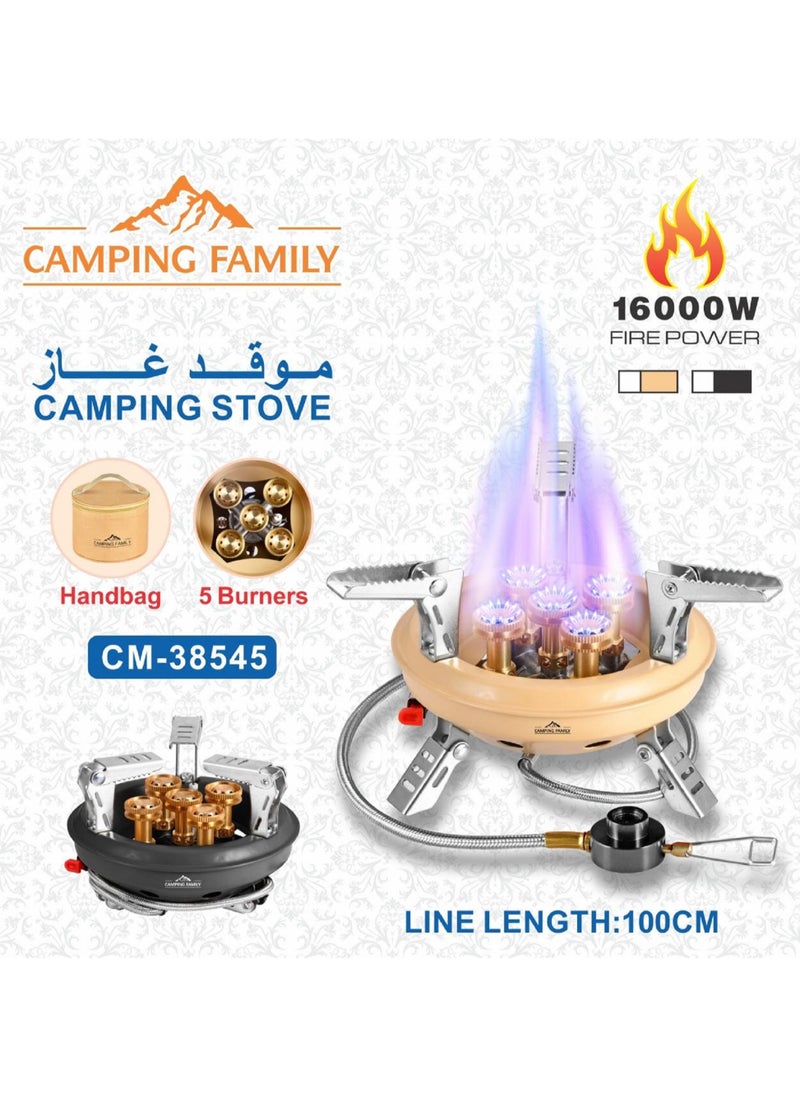 Portable Windproof Foldable Camping Gas Stove  With Carry Bag