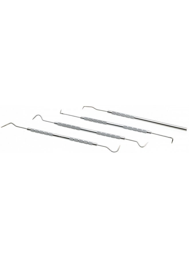 Woodstock D3228 Dental Pick Set, 4-Piece