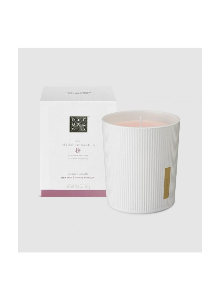 The Ritual of Sakura Scented Candle Scented Candle,290 g