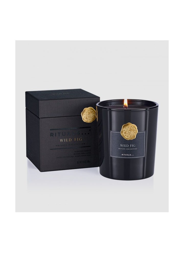 Private Collection Wild Fig Scented Candle Luxury Scented Candle,360 g