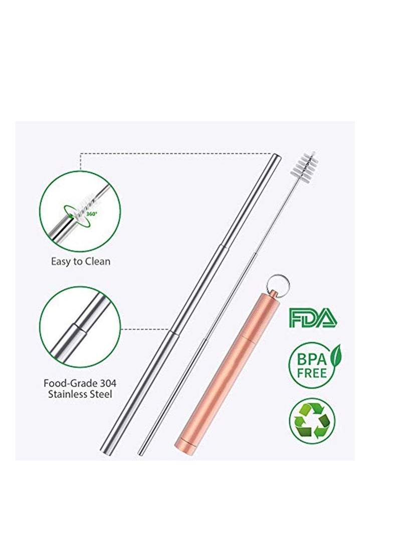 2 Pack Reusable Telescopic Straw, Stainless Steel Collapsible Drinking Straw, Portable Metal Straw Kit with Cleaning Brush & Carabiner