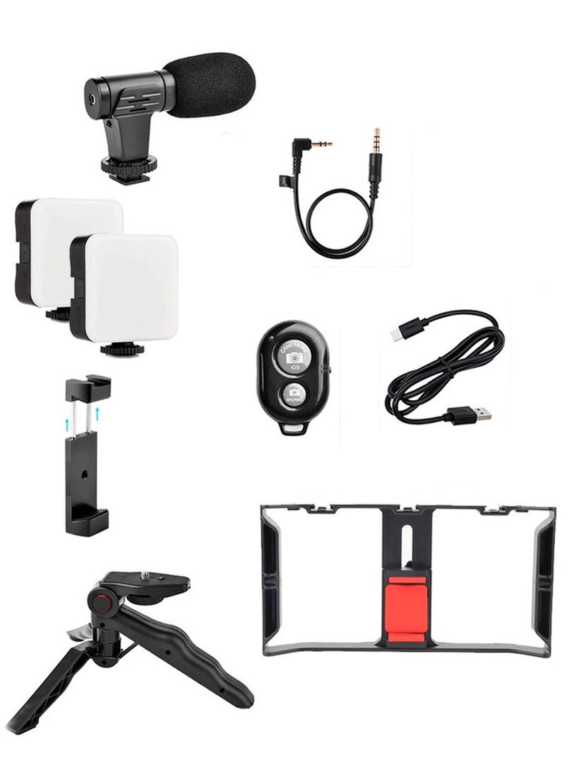 AY-49X Multi Purpose Adjustable All In One Video Making Kit with 2 LED Lights Grips and Microphone Perfect for vlogging Live Streaming and Content Creation