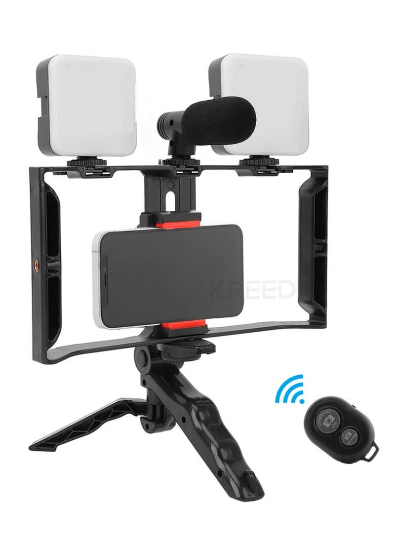 AY-49X Multi Purpose Adjustable All In One Video Making Kit with 2 LED Lights Grips and Microphone Perfect for vlogging Live Streaming and Content Creation