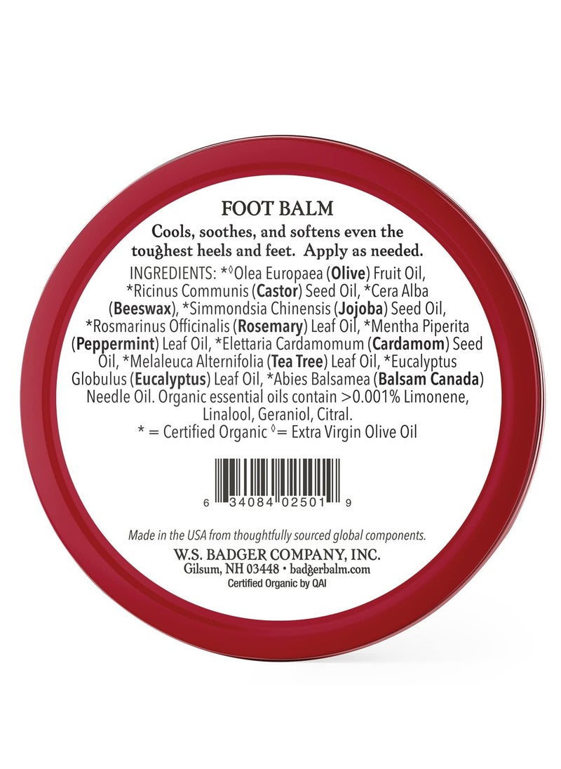 Badger Foot Balm, Organic Tea Tree & Olive Oil Foot Care for Dry Cracked Heels, Cracked Heel Repair for Dry Cracked Feet, Foot Cream Heel Balm, 2 oz