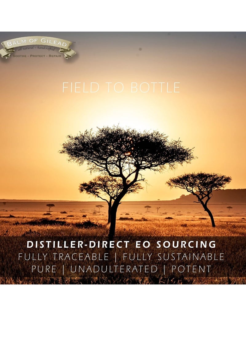 BALM OF GILEAD Foot Healing Cream – Frankincense and Sweet Myrrh Moisturizer for Sensitive Skin, Foot Therapy, Diabetic Skin Healing - Synergistic Action, Deeply Nourishing, Relieving