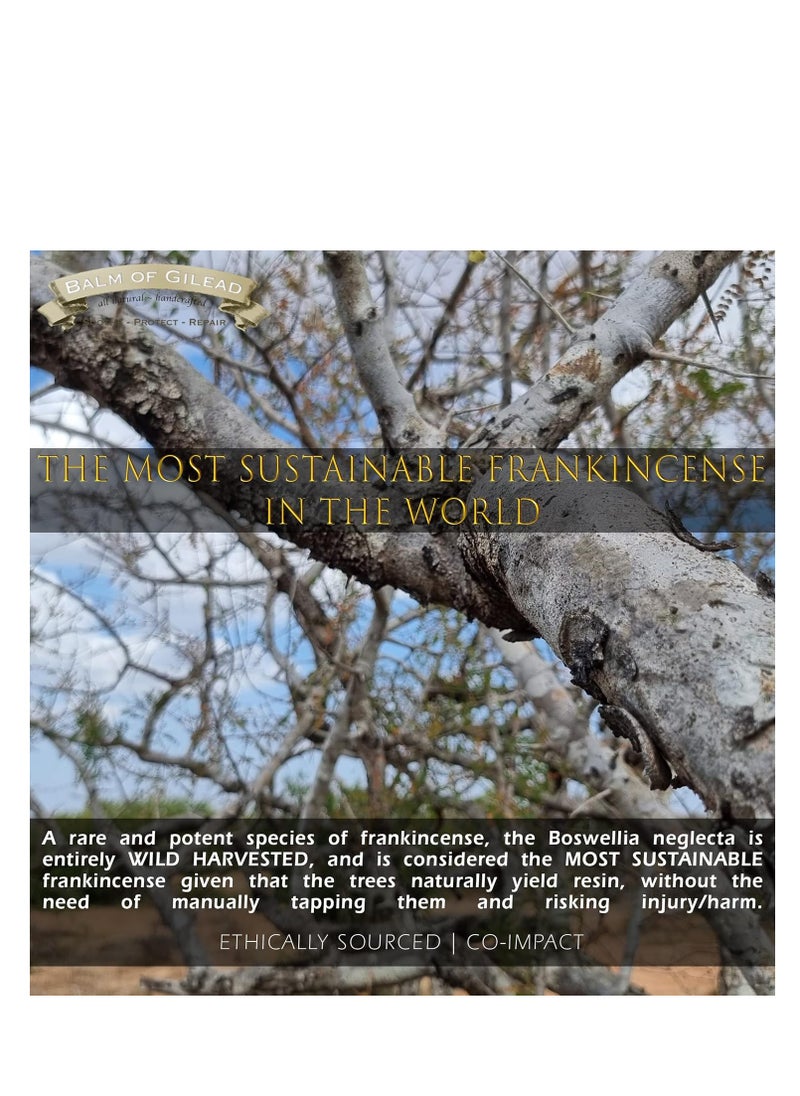 BALM OF GILEAD Foot Healing Cream – Frankincense and Sweet Myrrh Moisturizer for Sensitive Skin, Foot Therapy, Diabetic Skin Healing - Synergistic Action, Deeply Nourishing, Relieving