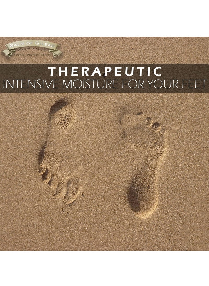 BALM OF GILEAD Foot Healing Cream – Frankincense and Sweet Myrrh Moisturizer for Sensitive Skin, Foot Therapy, Diabetic Skin Healing - Synergistic Action, Deeply Nourishing, Relieving