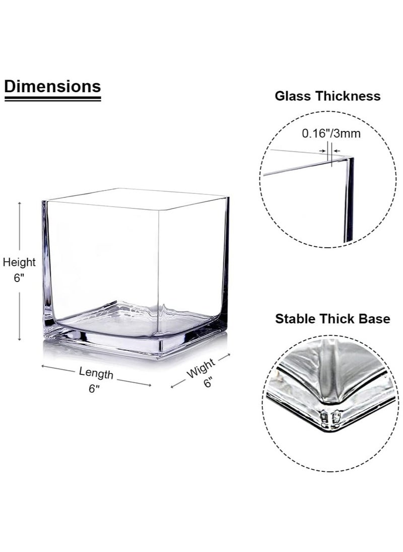 Cube Glass Vase, 6x6 Inch Glass Vase for Flowers Planter, Clear Square Glass Vases, Floating Candle Holders, Table Flower Glass Vase for Wedding Centerpieces, Home Office décor Set of 1