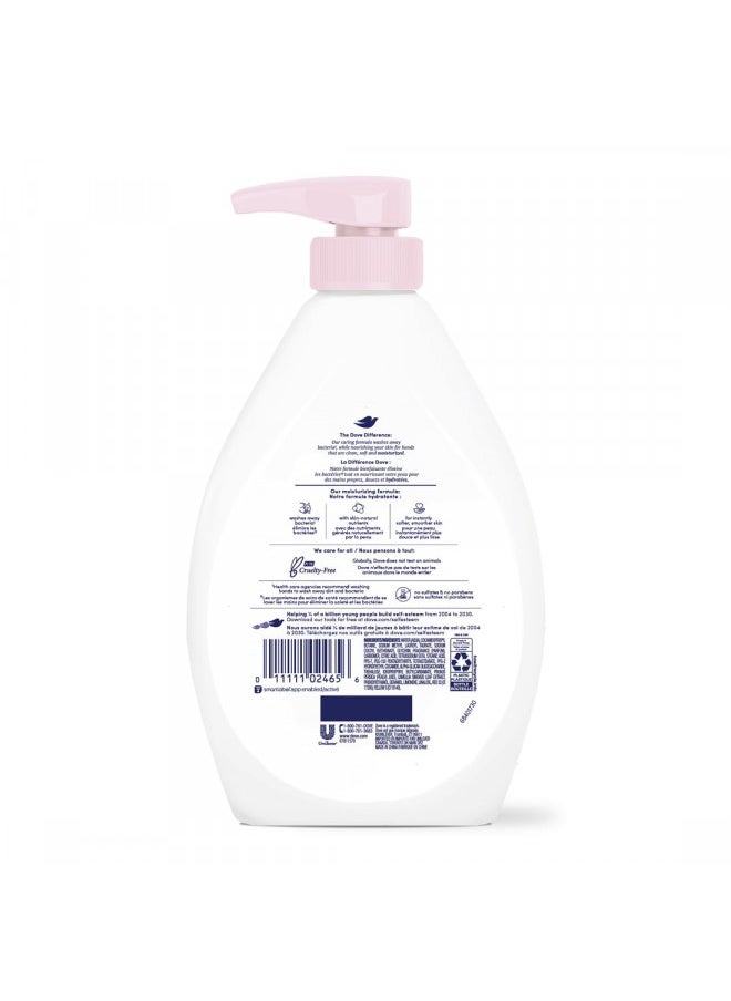 Dove Purify and Care Limited Edition Hand Wash, 18.59 Ounce (Pack of 2)