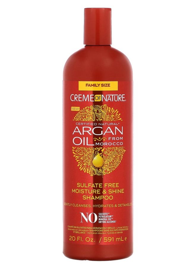 Certified Natural Argan Oil From Morocco Sulfate Free Moisture & Shine Shampoo 20 fl oz (591 ml)