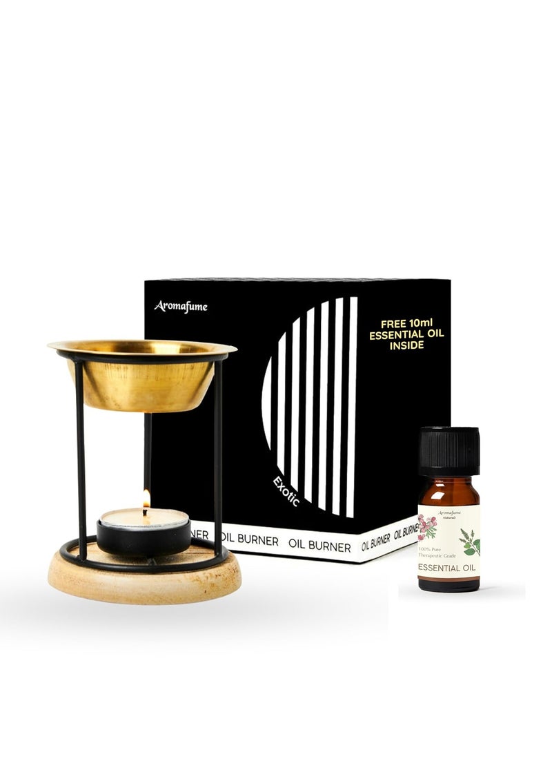 aromafume Exotic Brass Oil Diffuser (Use for Essential Oil, Aroma Oil, Diffuser Oil, SPA, Yoga, Meditation, Home Fragrance)