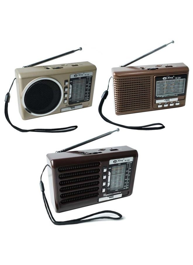 BAIJIALI PX-54U Brown Multi-band Retro Pointer Radio USB Plug In Card Radios