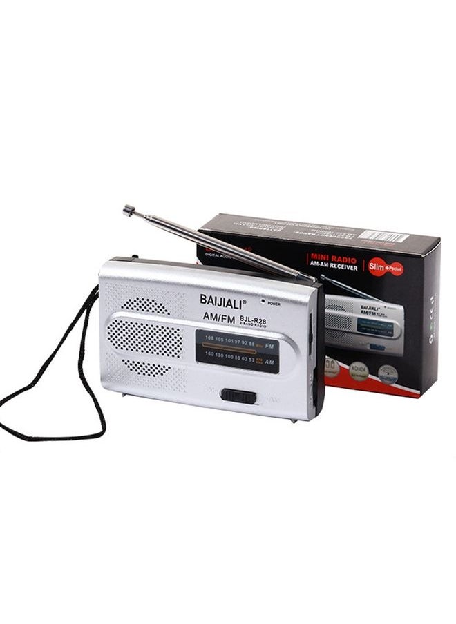 BAIJIALI BJL-R28 Elderly Portable Portable Retro Radio AM / FM Two Band Radio(Silver Gray)