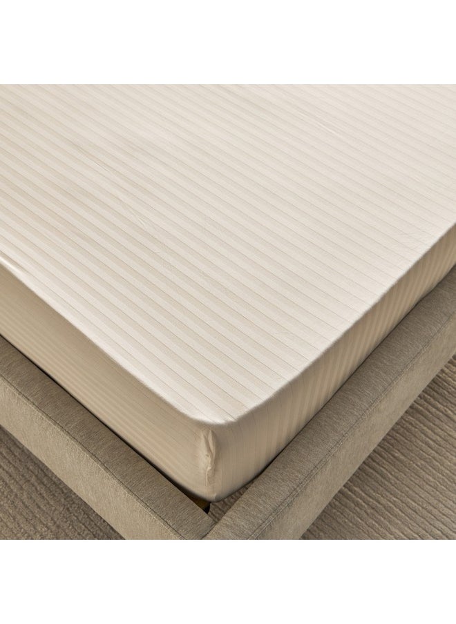 Hamilton Satin Stripe Twin Fitted Sheet 120 x 200 x 36 cm