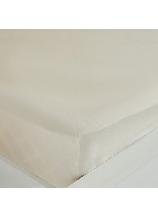 Essential Solid Cotton King Fitted Sheet 210 x 36 x 180 cm