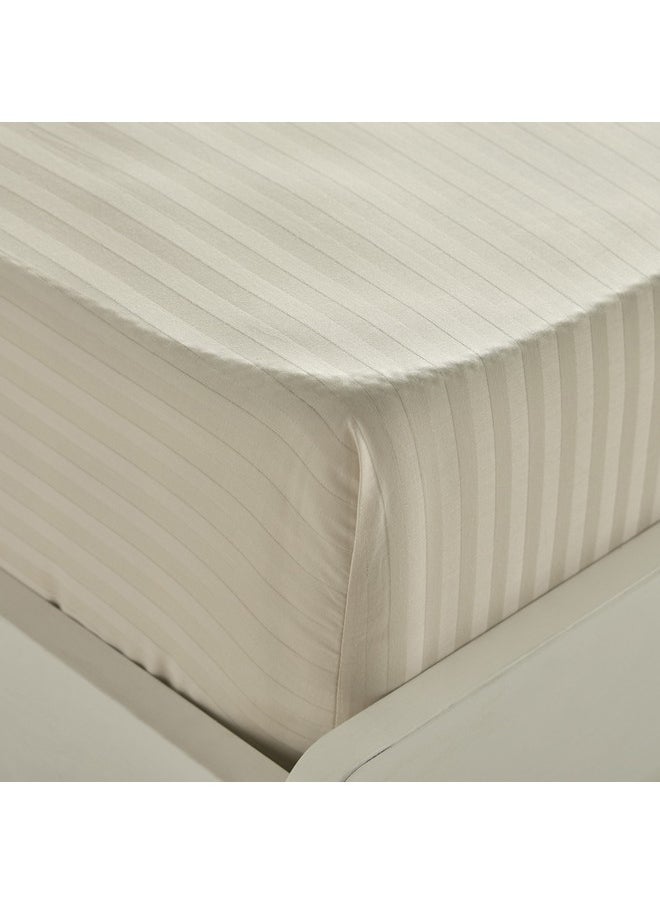 Hamilton Satin Stripe Queen Fitted Sheet 200 x 36 x 150 cm