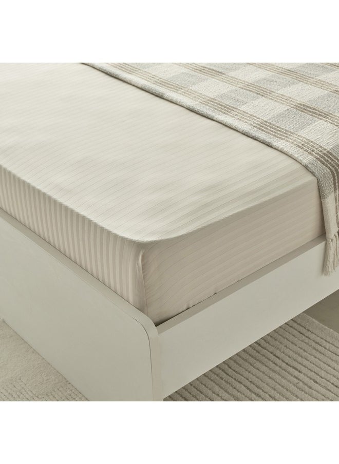 Hamilton Satin Stripe Queen Fitted Sheet 200 x 36 x 150 cm