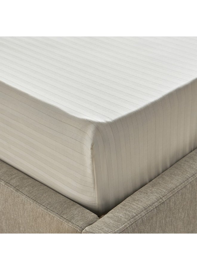 Hamilton Satin Stripe Twin Fitted Sheet 120 x 200 x 36 cm