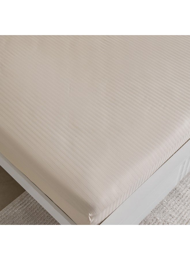 Hamilton Striped Satin Cotton King Fitted Sheet 210 x 36 x 180 cm