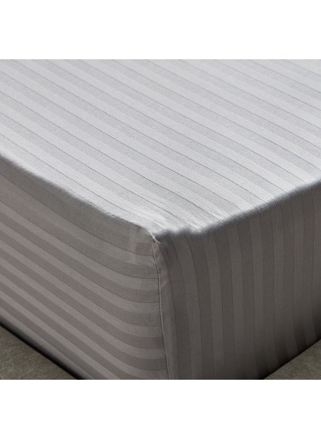 Hamilton Satin Stripe Twin Fitted Sheet 120 x 200 x 36 cm