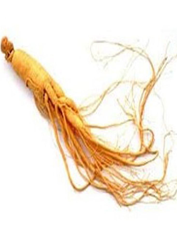 100% Pure Ginseng - Chinese- White- -Fresh- 6 & 20 Years Old - (Chinese Raw 20 Years Old 100gm)