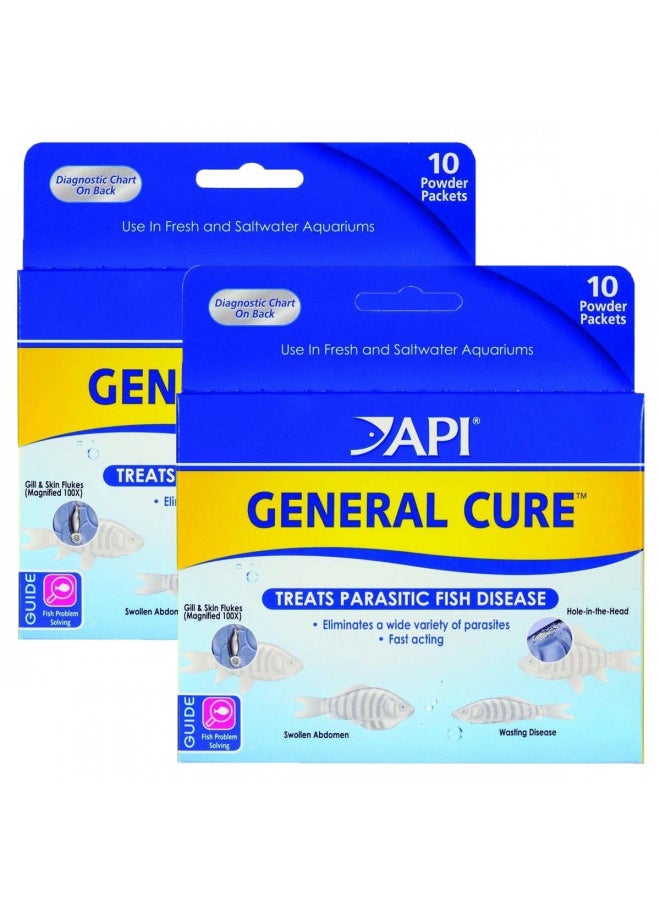 API Powder General Cure 20 pack