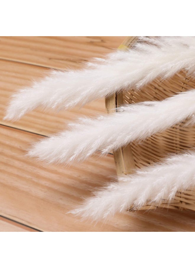 Comtelek 30 Pcs White Pampas Grass,17 inch/45 cm Natural Dried Pampas Grass Branches Decor for Home Kitchen Garden Party Photographing Flower Arrangement Vase DecorWhite