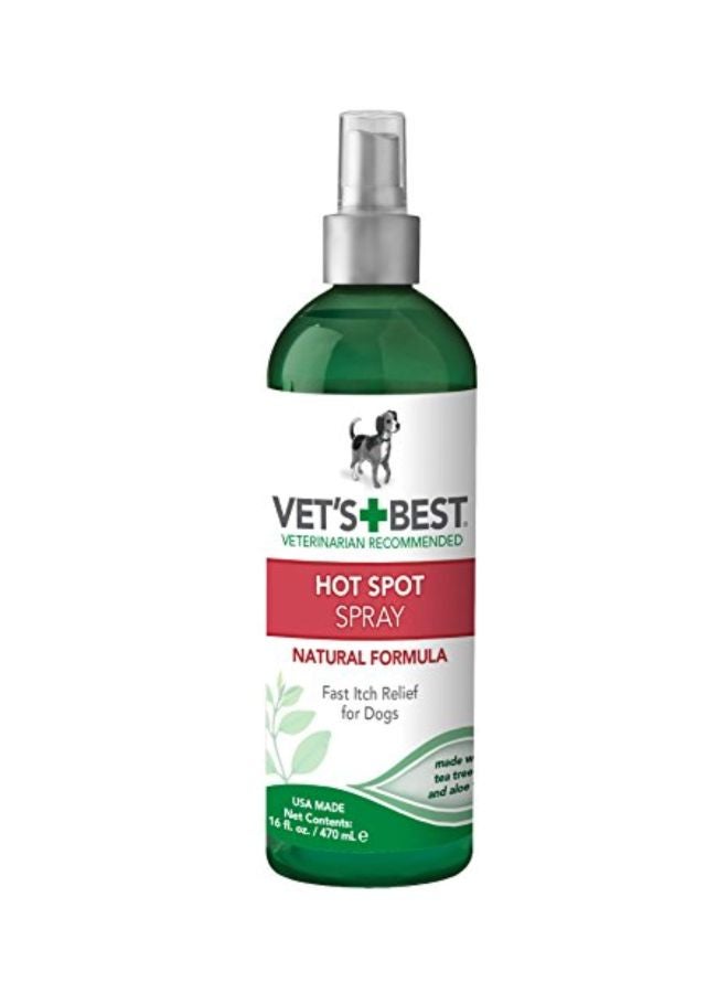 Hot Spot Spray 470ml