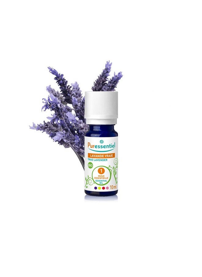 Essential Oil Organic True Lavender - 10Ml