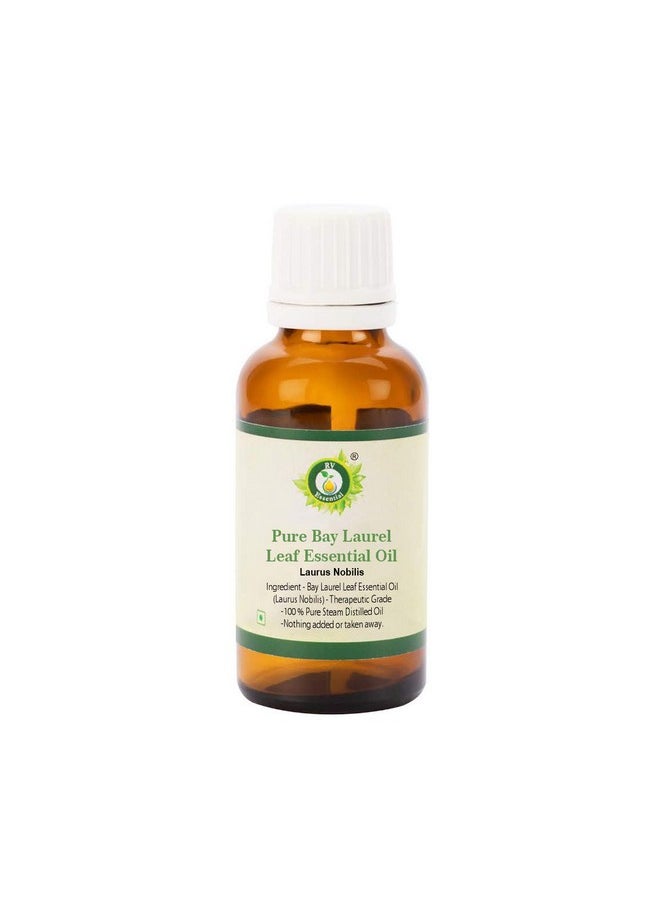 Pure Bay Laurel Leaf Essential Oil 10Ml- Laurus Nobilis (100% Pure And Natural Therapeutic Grade)