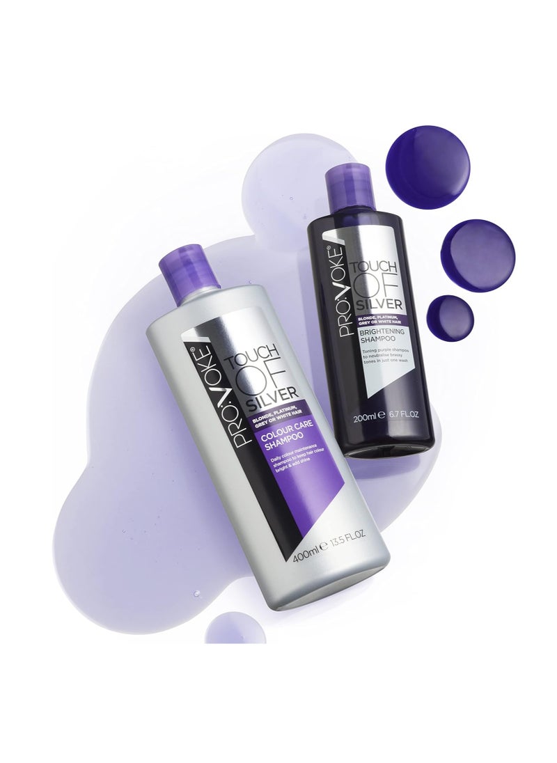 Touch Of Silver Colour Care Shampoo 400 ml Daily Colour Protect Shampoo Prolongs Colour and Adds Shine