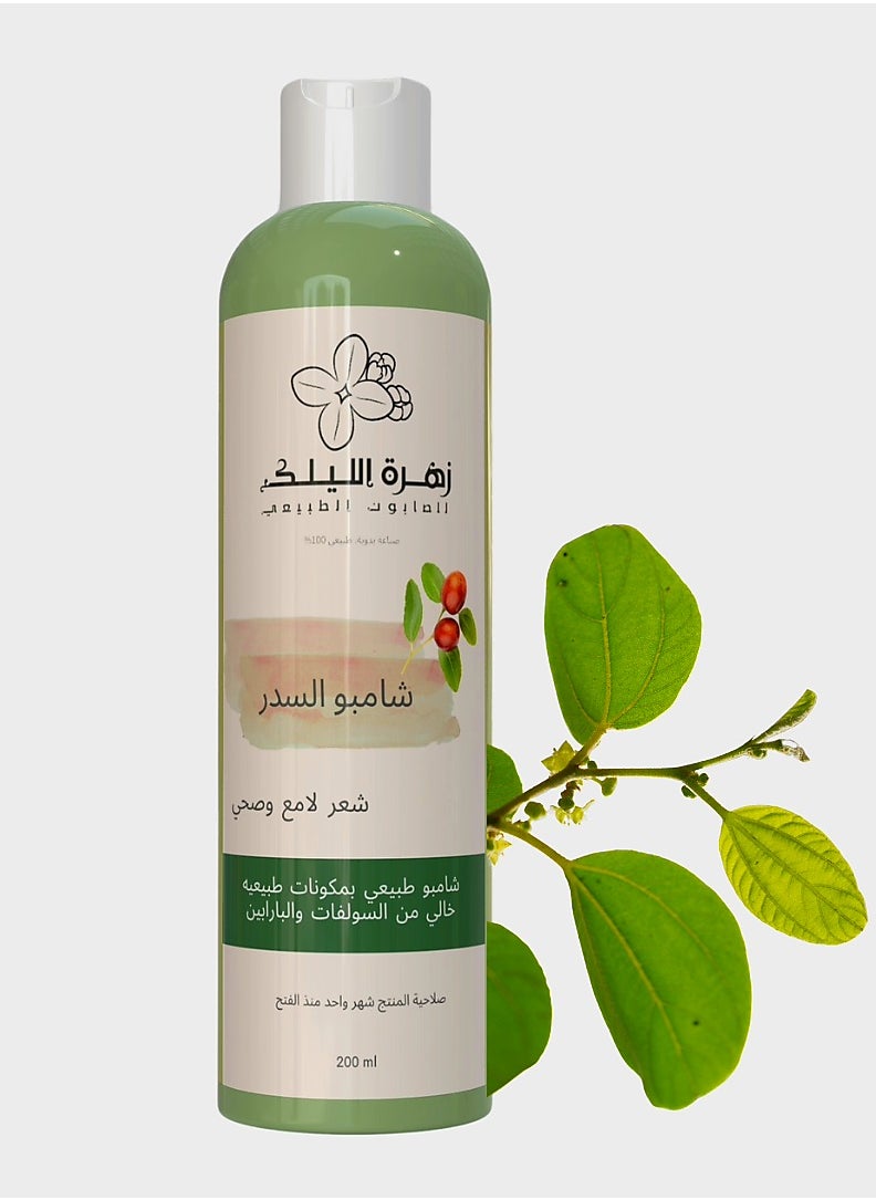 Natural Sidr and Indian Herbs Shampoo, Free of Sulfates and Parabens