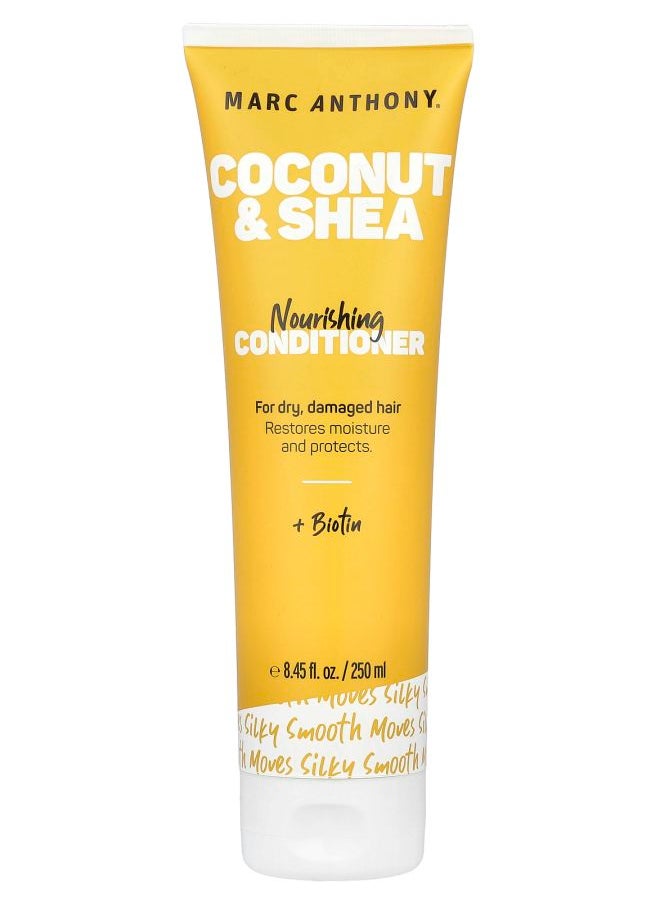 Nourishing Conditioner Coconut & Shea  8.45 fl oz (250 ml)