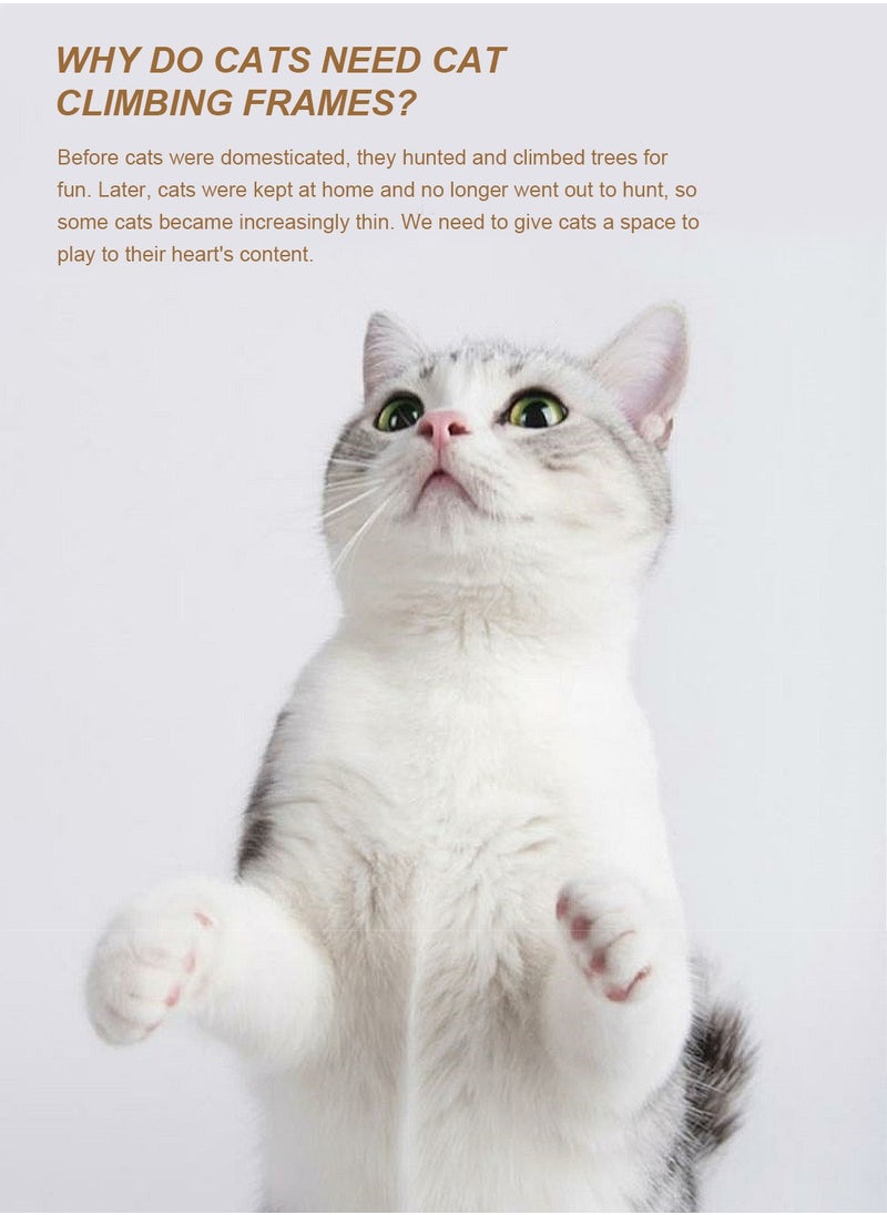 Wooden Pet Cat Climbing Frame Cat Tree Toy With Cat House Cat Jumping Platform Claw Scratching Post 40*40*255cm