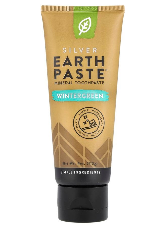 Silver Earth Paste® Mineral Toothpaste Wintergreen 4 oz (113 g)