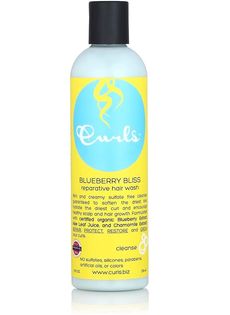 Blueberry Bliss Reparative Hair Wash 236ml