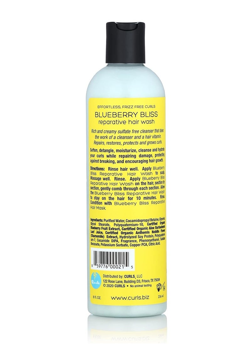 Blueberry Bliss Reparative Hair Wash 236ml