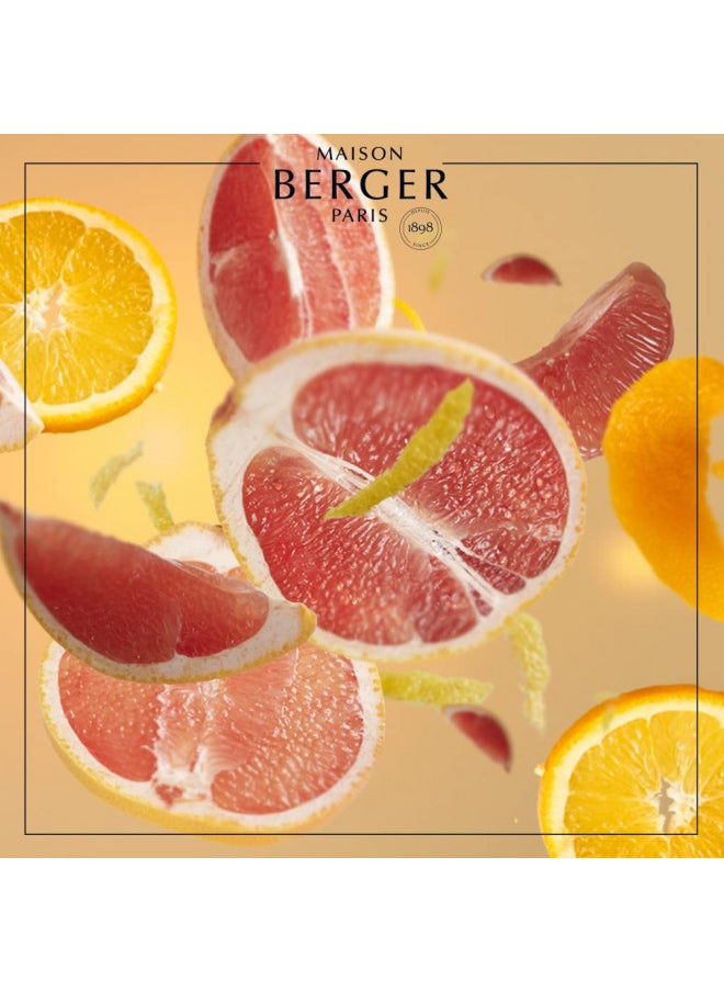 Grapefruit Passion | Lampe Berger Fragrance Refill by Maison Berger | for Home Fragrance Oil Diffuser | Purifying and perfuming Your Home | 16.9 Fluid Ounces - 500 milliliters | Made in France