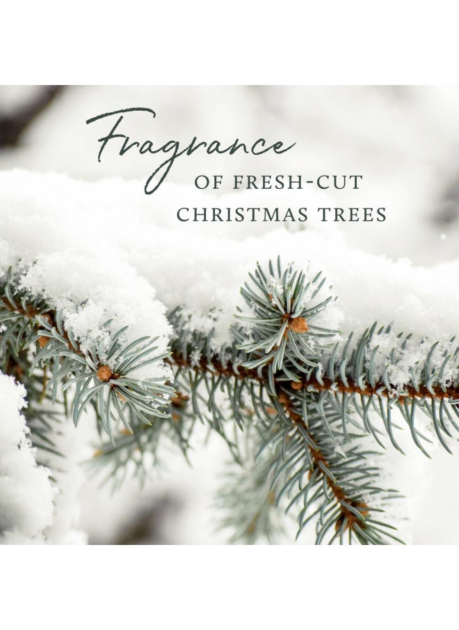 Thymes Petite Frasier Fir Diffuser - Home Fragrance Diffuser Set Includes Reed Diffuser Sticks, Fragrance Oil, and Green Glass Bottle Oil Diffuser (4 fl oz)