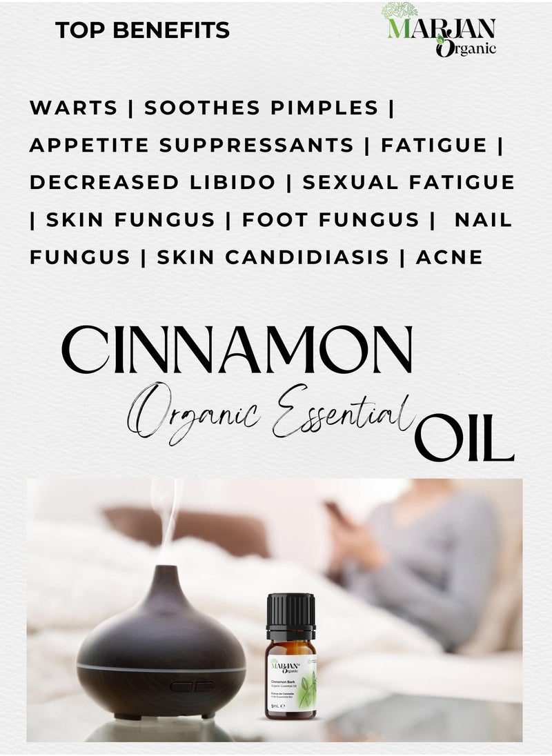 Cinnamon Bark Essential Oil 5ml - Certified Organic by The Soil Association