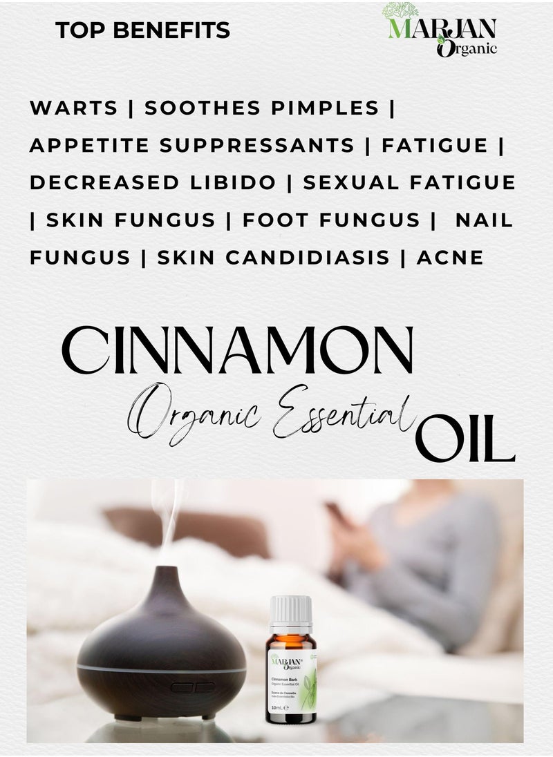 Cinnamon Bark Essential Oil 10ml - Certified Organic by The Soil Association