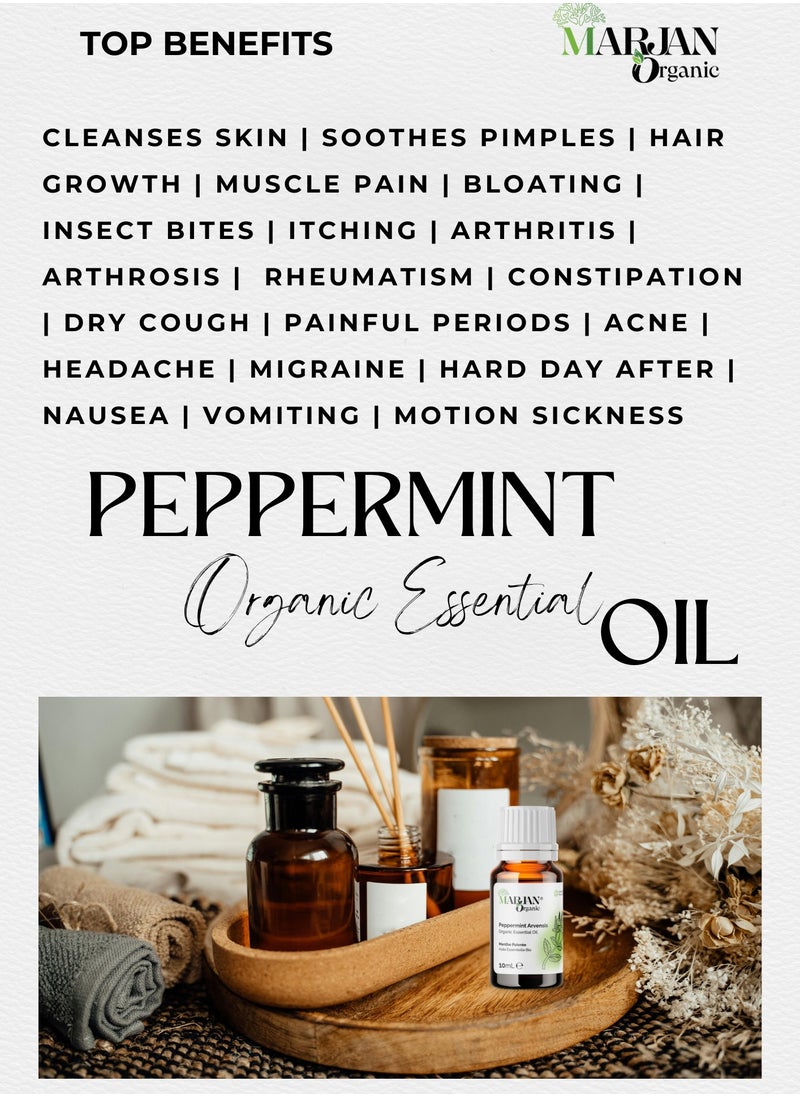 Peppermint Arvensis Essential Oil 10ml - Certified Organic by The Soil Association