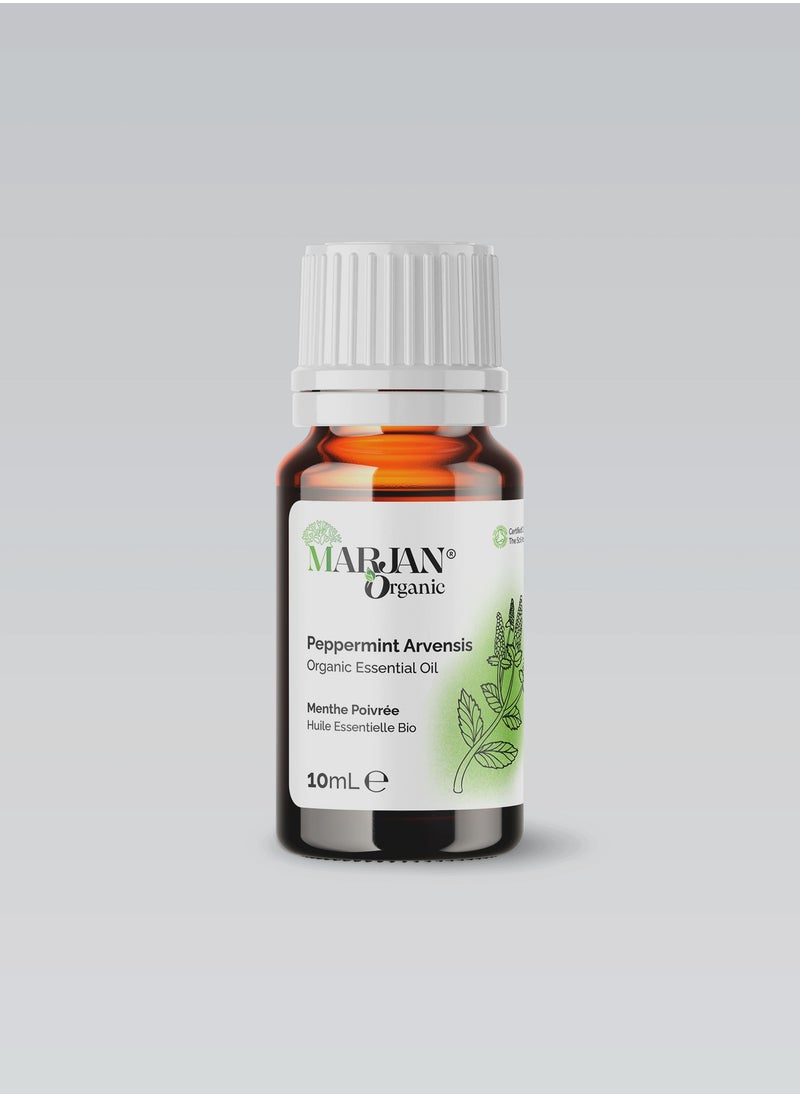 Organic Peppermint Arvensis Essential Oil 10ml