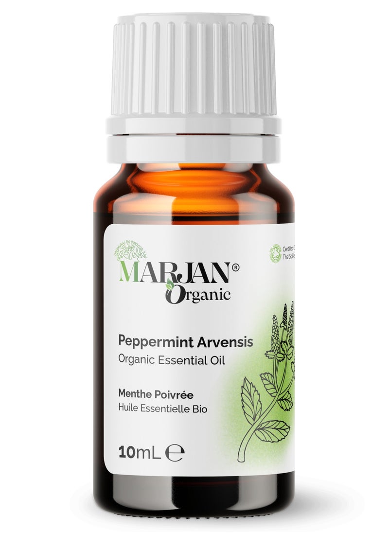 Peppermint Arvensis Essential Oil 10ml - Certified Organic by The Soil Association